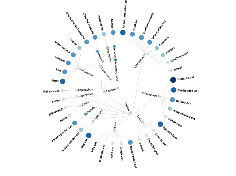 circular-dendogram